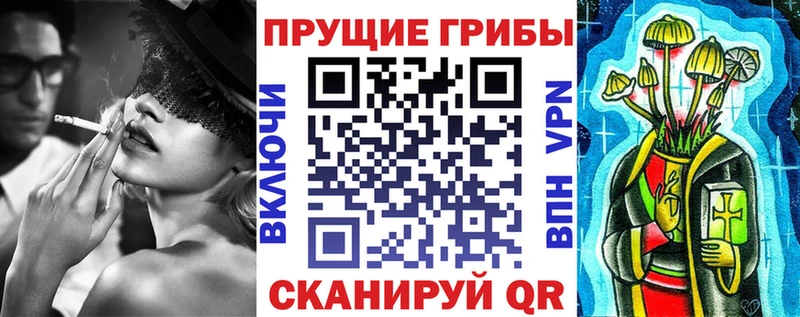 Купить закладки Бабаево Псилоцибиновые грибы Psilocybine cubensis